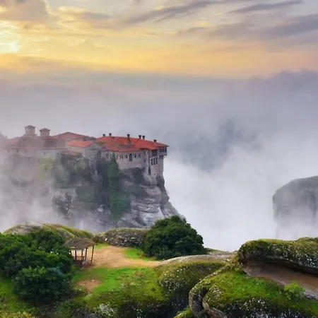 Olive Grove Apartament