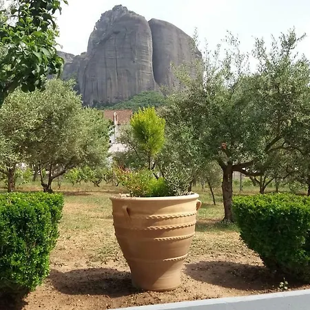 Olive Grove Kalambaka