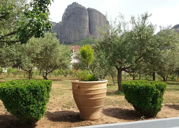 Olive Grove 卡兰巴卡